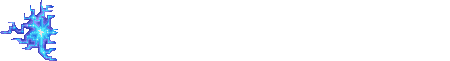 NetWizard and Gymnastics Professional