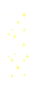 NetWizard and Gymnastics Professional